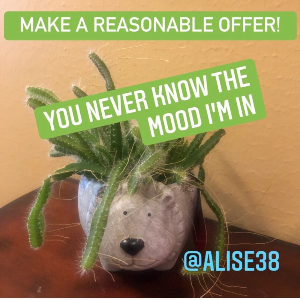 Author Signed Theresa Caputo Book - Picture 5 of 5